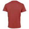 BRUSH UNISEX COLOR